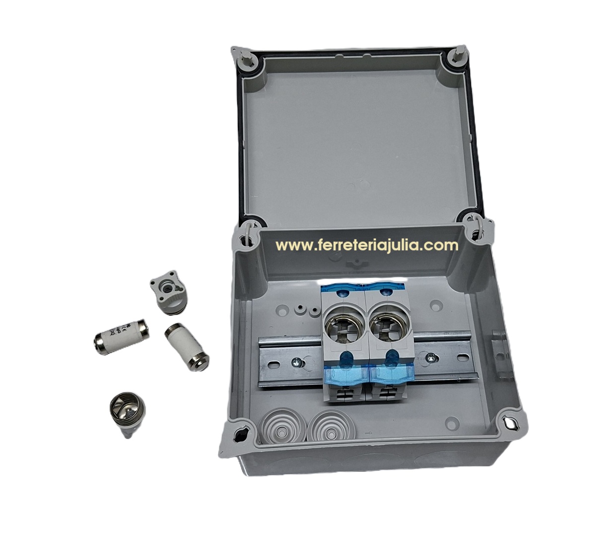 caja estanca 3085 bipolar fusibles neozed 63A